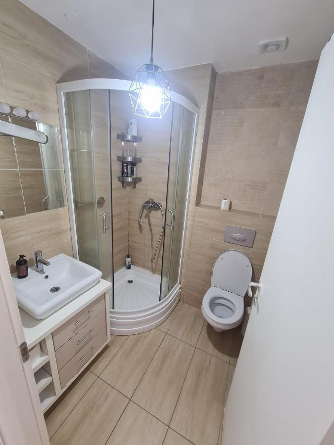 Cosmopolis Studio 1 Stefanestii de Jos Екстер'єр фото